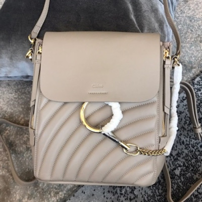 Chole 2019 Faye Leather Tote Shoulder Bag / Back Pack, 25.5cm -  끌로에 2019 페이 레더 토트 숄더백/백팩,CLB0113,25.5cm,그레이