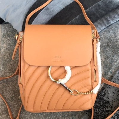 Chole 2019 Faye Leather Tote Shoulder Bag / Back Pack, 25.5cm -  끌로에 2019 페이 레더 토트 숄더백/백팩,CLB0114,25.5cm,코랄