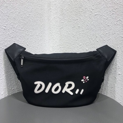 Dior x Kaws 2019 Canvas & Leather Belt Bag,23cm - 디올x카우스 2019 캔버스&레더 남여공용 벨트백,DIOB0300,23cm,블랙(화이트)