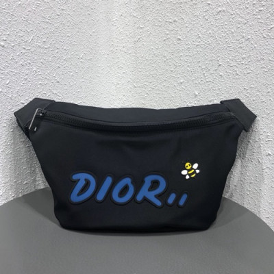 Dior x Kaws 2019 Canvas & Leather Belt Bag,23cm - 디올x카우스 2019 캔버스&레더 남여공용 벨트백,DIOB0301,23cm,블랙(블루)