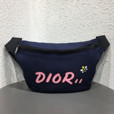 Dior x Kaws 2019 Canvas & Leather Belt Bag,23cm - 디올x카우스 2019 캔버스&레더 남여공용 벨트백,DIOB0303,23cm,블루(핑크)