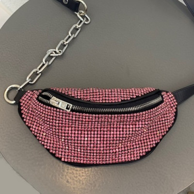 Alexander Wang 2019 Cubic & Leather Belt Bag,20.5cm - 알렉산더왕 2019 큐빅 & 레더 남여공용 벨트백 AWB0002,20.5cm,블랙(핑크큐빅)