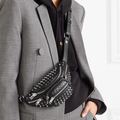 Alexander Wang 2019 Leather Mini Belt Bag,22cm - 알렉산더왕 2019 레더 남여공용 미니 벨트백 AWB0008,22cm,블랙