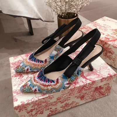 Dior 2019 Ladies Middle Heel Slingback - 디올 2019 여성용 미들힐 슬링백 DIOS0071,Size(225-250),블랙+블루